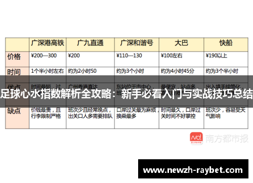 足球心水指数解析全攻略：新手必看入门与实战技巧总结