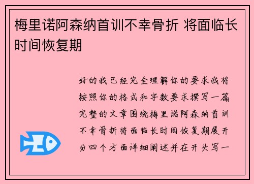 梅里诺阿森纳首训不幸骨折 将面临长时间恢复期 梅里诺阿森纳首训不幸骨折 将面临长时间恢复期